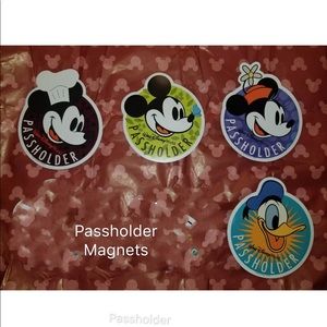 Disney passholer magnet set Mickey & friends